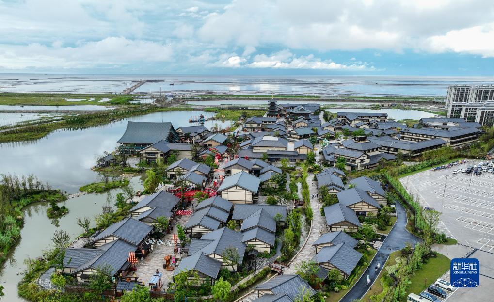 捕鱼大师现金